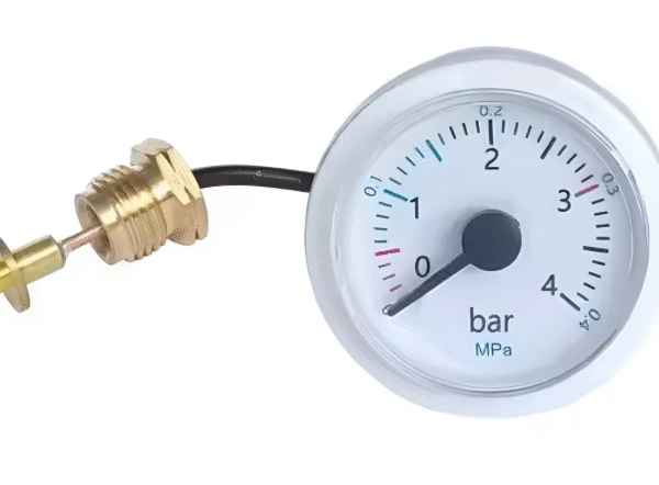 Manometro Blanco Caldera Peisa Diva Donna