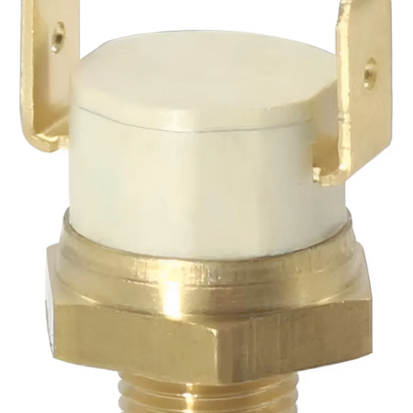 Presostato Agua G1/8 2t Caldera Peisa Diva 90000076 Repuesto